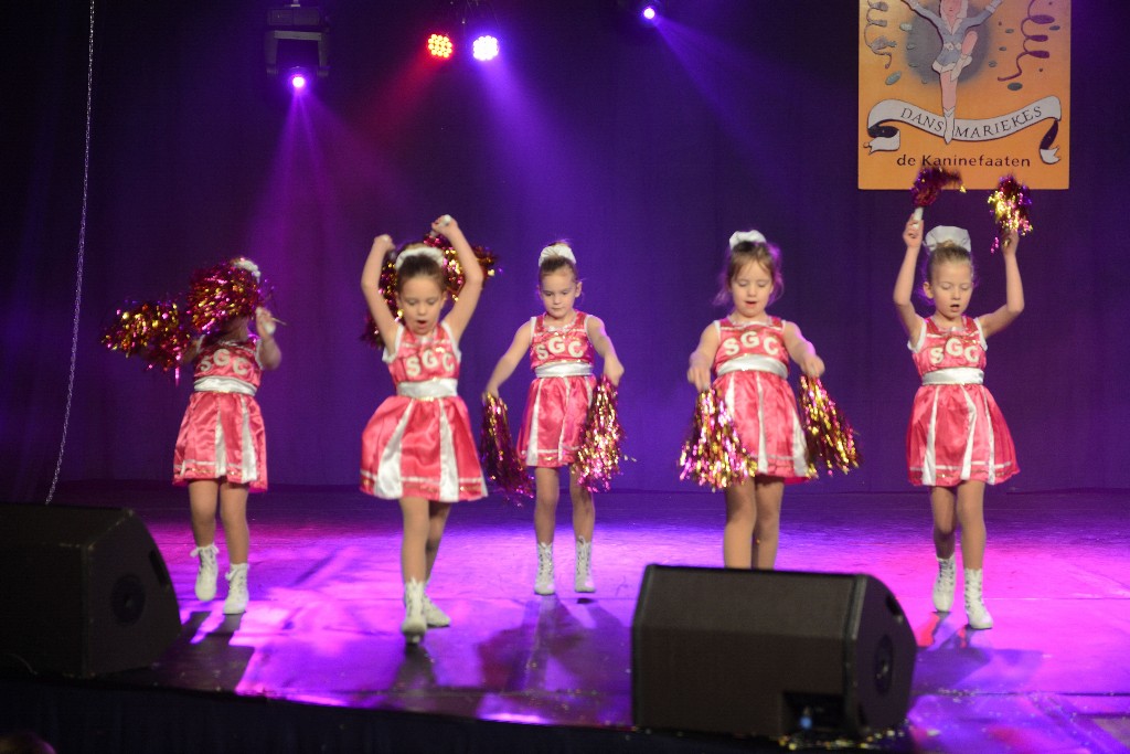 ../Images/Dansmarieke Festival 2016 242.jpg